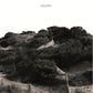 Borrowed Out Of Time - Vinyl LP