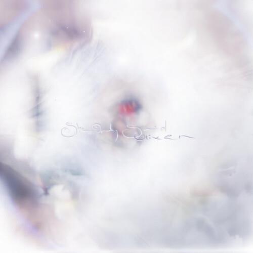 She Only Said - Vinyl LP