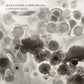 Understories - Vinyl LP