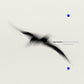Rathlin From A Distance / The Liquid Hour - Vinyl LP