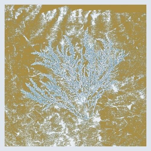 For Those Of You Who Have Never (And Also Those Who Have) - Vinyl LP