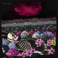Redefined - Vinyl LP