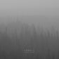 Lake Fire - Vinyl LP
