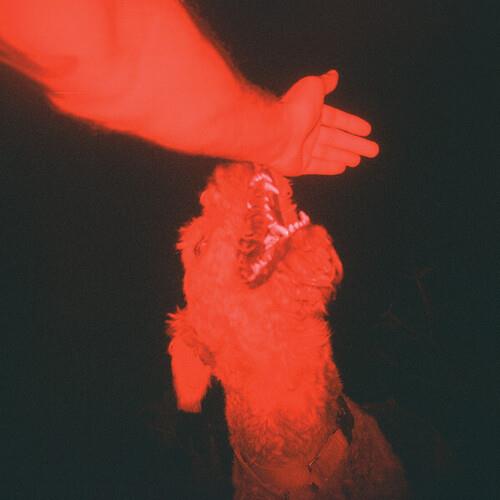 A Trick of the Light - Vinyl LP (Red)