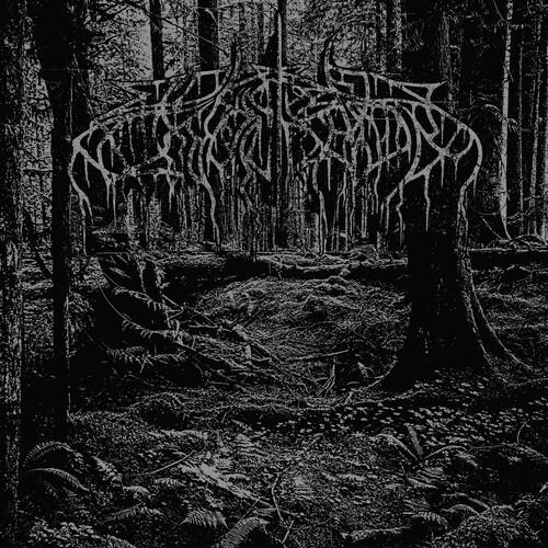 2005 Demo - Vinyl LP