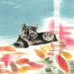 Carpet Of Fallen Leaves - Vinyl LP