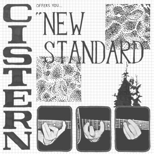 New Standard - Vinyl LP
