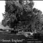 Sweet England - Vinyl LP