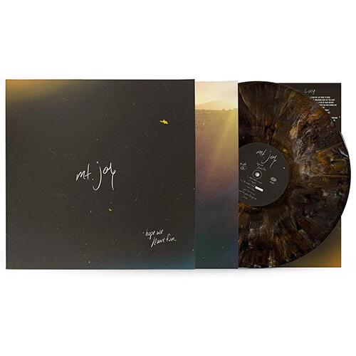 Hope We Have Fun - Vinyl LP 180 Gram (Brown)
