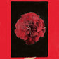 A Thousand Years in Another Way - Vinyl LP