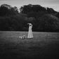 On the Wing - Vinyl LP