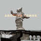 Aborted Towns, The Deadly Silence Before Utopia - Limited Edition Vinyl LP (Black/Gray)