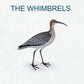 The Whimbrels - Vinyl LP