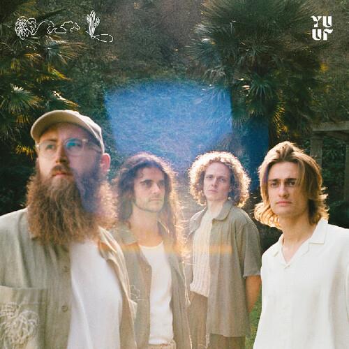 Alma's Cove - Vinyl LP 140 Gram