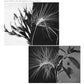 New Environments And Rhythm Studies - Vinyl LP
