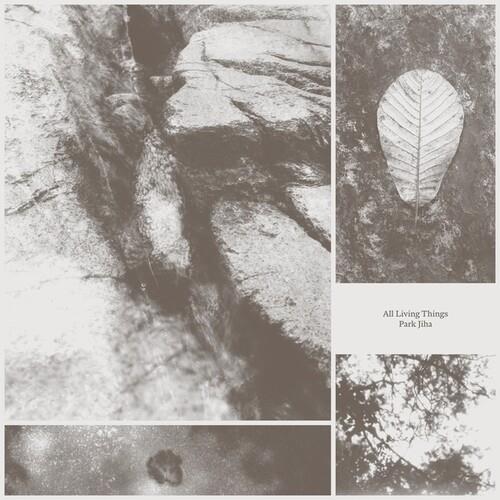All Living Things - Vinyl LP