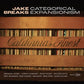 Catagorical Expansionism - Vinyl LP