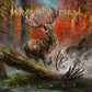 Heimat - Vinyl LP 180 Gram