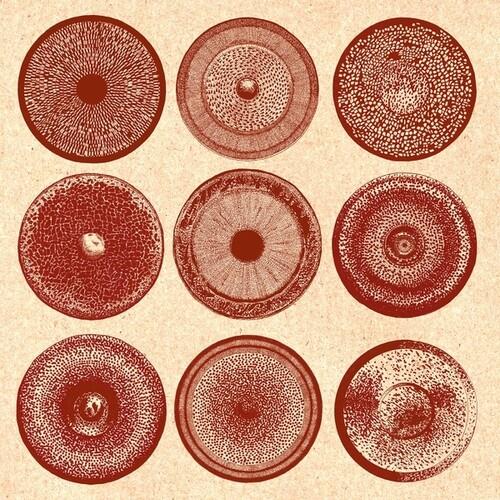Spilla - Vinyl LP