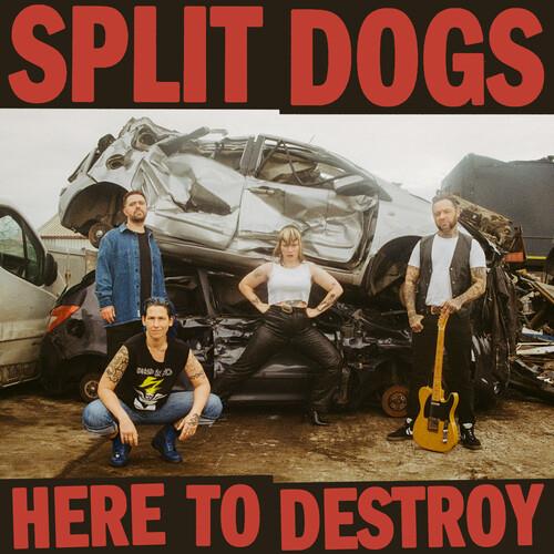 Here To Destroy - Red & Black Splatter Vinyl - 12-Inch Single (Red/Black)