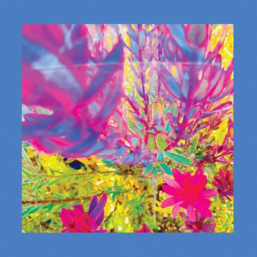 The Past is a Garden I Never Fed - Vinyl LP (Pink)