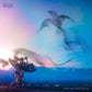 Circling From Above - Vinyl LP 180 Gram