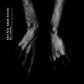 Steadfast Records: The First Two Seven Inches - Vinyl LP
