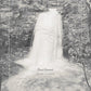 Fiery Gizzard - Vinyl LP