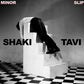 Minor Slip - Vinyl LP