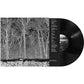 Sunshine and Balance Beams - Vinyl LP