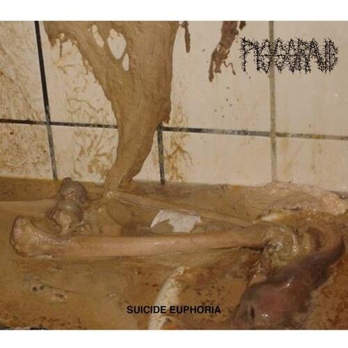 Suicide Euphoria - Vinyl LP
