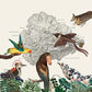 The Birds of Marsville - Vinyl LP