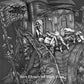 Dark Thrones & Black Flags - Vinyl LP