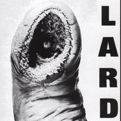 Power Of Lard - White - Vinyl LP (White)