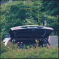 Pareidolia - Vinyl LP