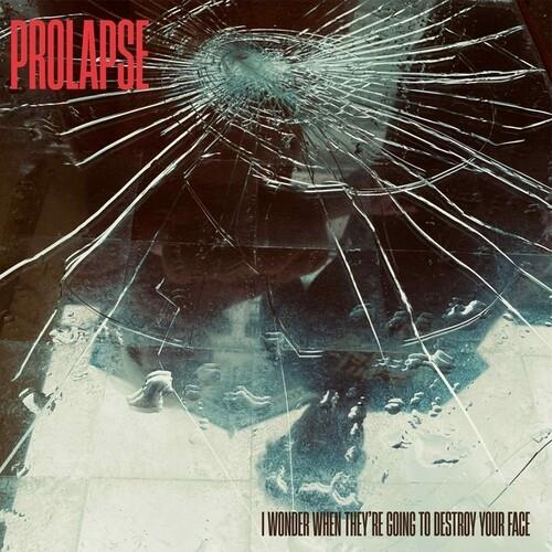 I Wonder When They're Going To Destroy Your Face - Vinyl LP