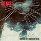 I Wonder When They're Going To Destroy Your Face - Vinyl LP