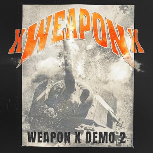 Weapon X Demo 2 - Silver - 12-Inch Single (Silver/Pink)