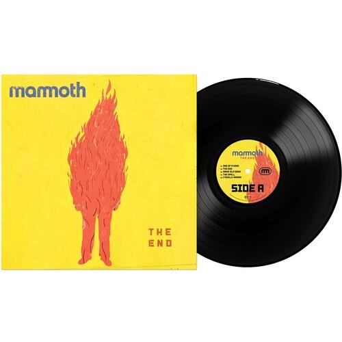 The End - Vinyl LP