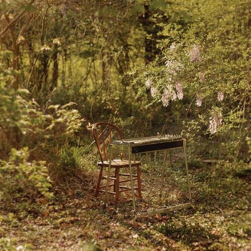 For Dancing In Quiet Light - Vinyl LP
