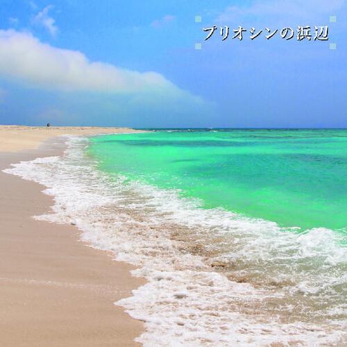 Beach Of The Pliocene - Vinyl LP
