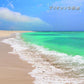 Beach Of The Pliocene - Vinyl LP