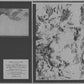 Vevey - Vinyl LP