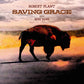 Saving Grace - Vinyl LP 140 Gram