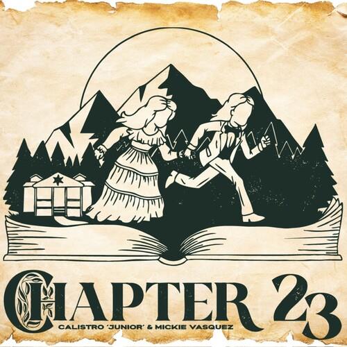 Chapter 23 - Vinyl LP