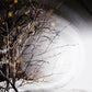 Winterlight - Vinyl LP