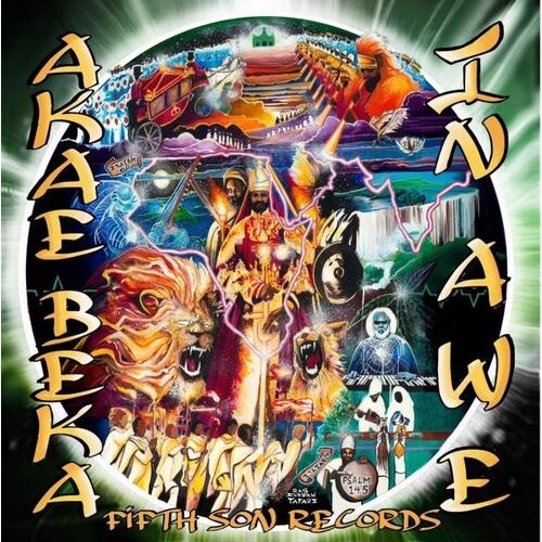 In Awe - Vinyl LP