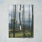 Watercress - Vinyl LP