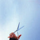 Running With Scissors - Vinyl LP