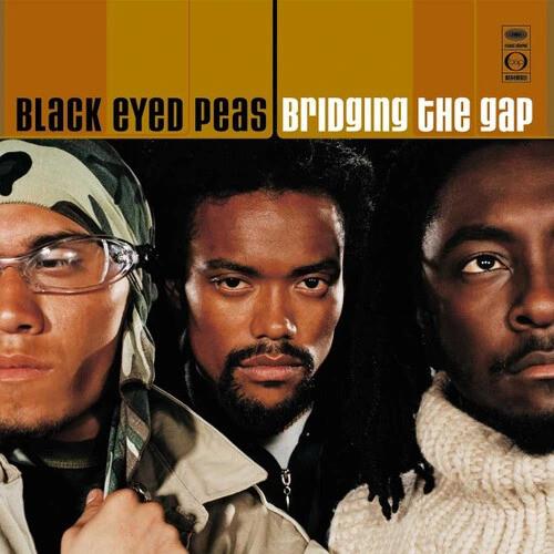 Bridging The Gap - Vinyl LP